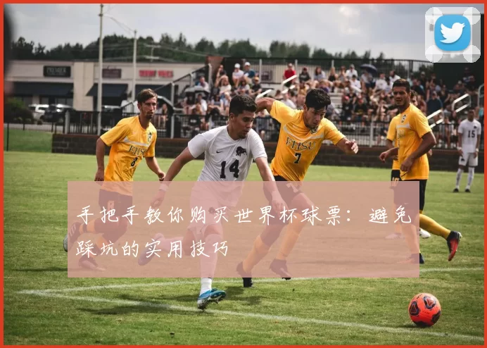手把手教你购买世界杯球票：避免踩坑的实用技巧