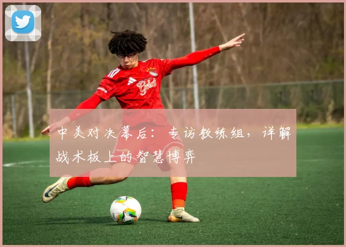 中美对决幕后：专访教练组，详解战术板上的智慧博弈