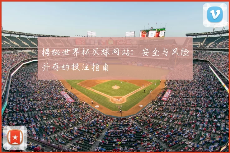 揭秘世界杯买球网站：安全与风险并存的投注指南