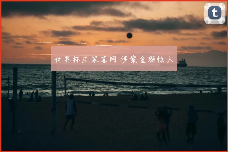 世界杯庄家落网 涉案金额惊人