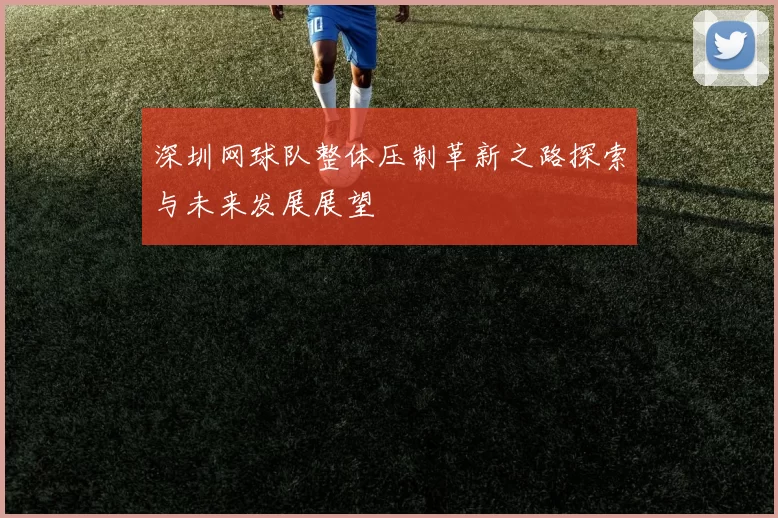 深圳网球队整体压制革新之路探索与未来发展展望