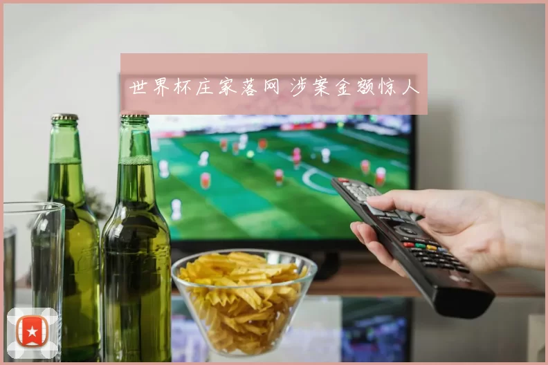 世界杯庄家落网 涉案金额惊人