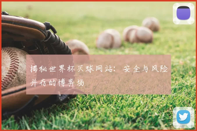 揭秘世界杯买球网站：安全与风险并存的博弈场