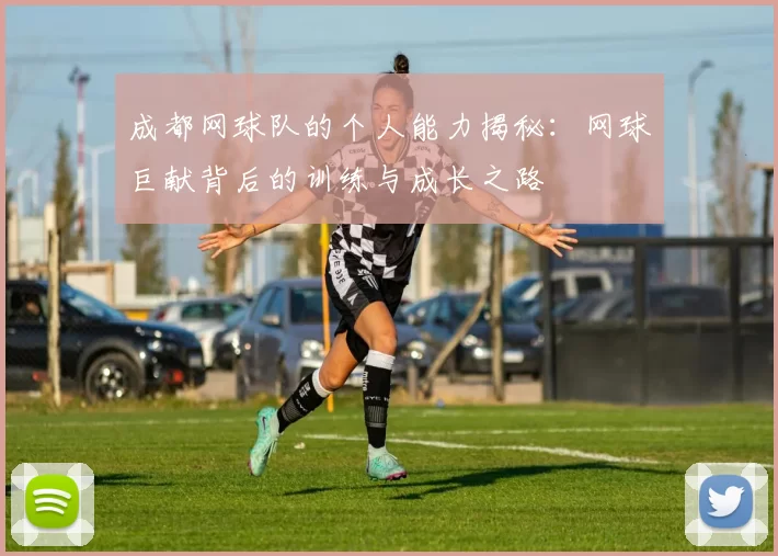 成都网球队的个人能力揭秘：网球巨献背后的训练与成长之路