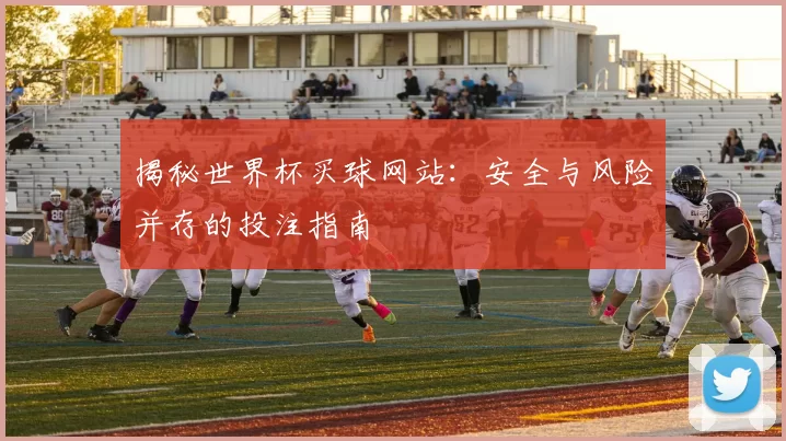 揭秘世界杯买球网站:安全与风险并存的投注指南