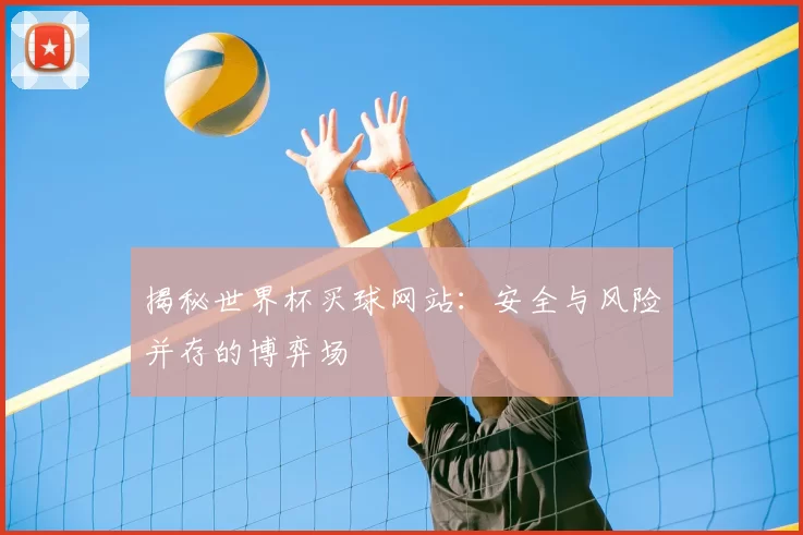 揭秘世界杯买球网站:安全与风险并存的博弈场